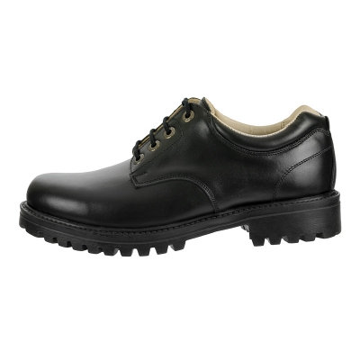 Regsan - Incaltaminte din piele - Pantofi Model H N